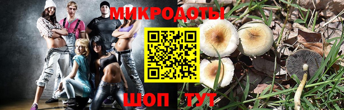 Псилоцибиновые грибы MAGIC MUSHROOMS  Вход с VPN  Галлюциногенные грибы Cubensis  Мытищи 